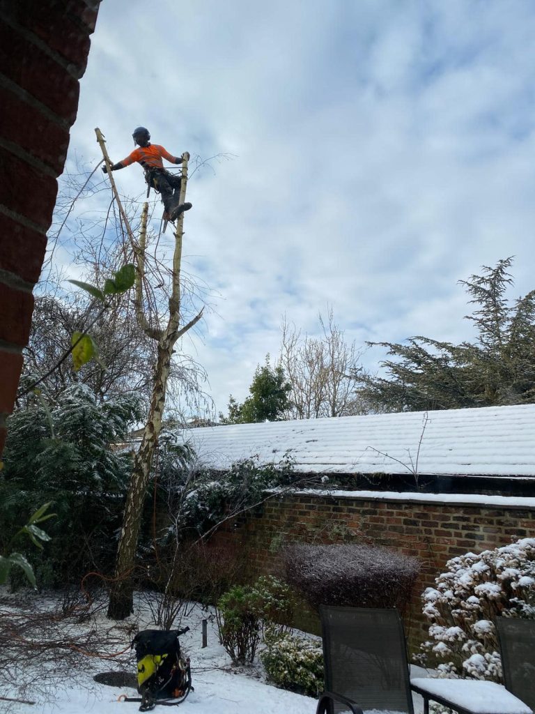 473174006 122134583468497631 596026235808262069 n