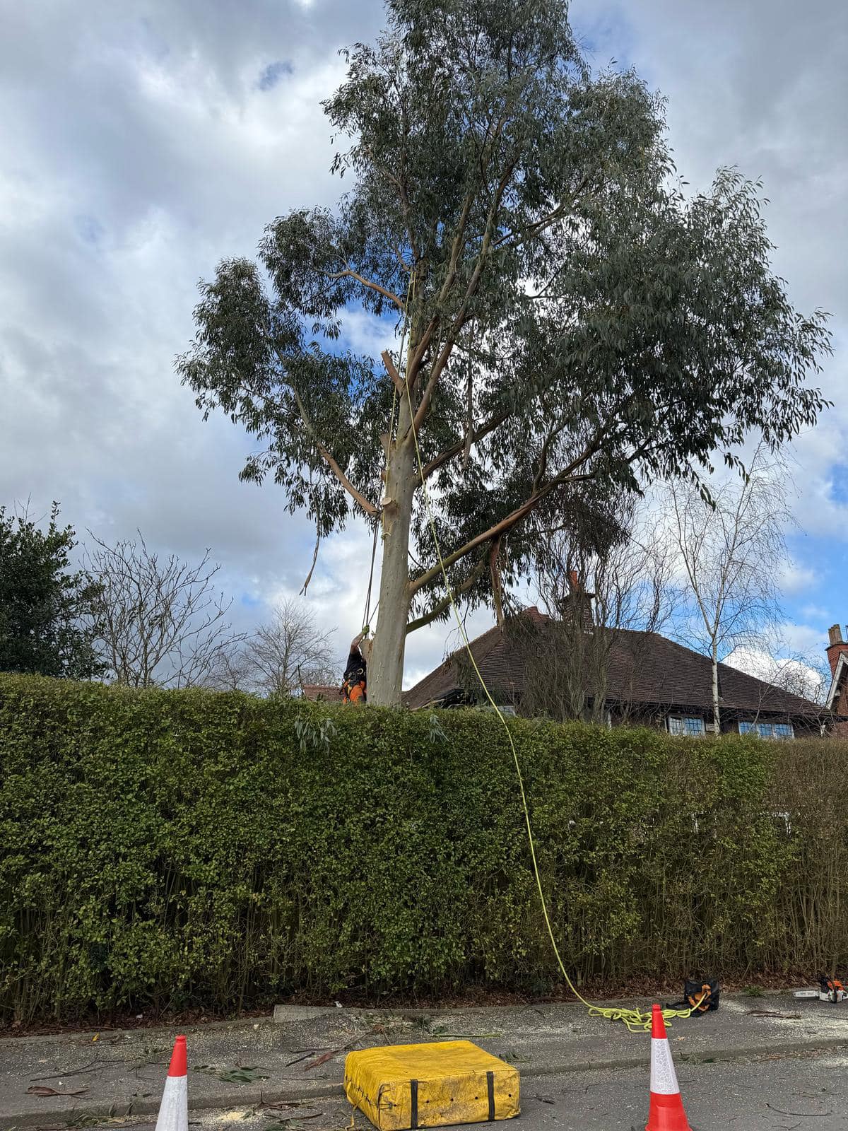 481675469 122145935276497631 4766599330690988233 n