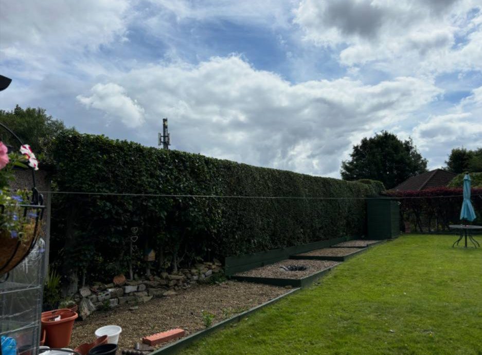 att.8M7dzqJcCkraLqefB6ve61EIFhA9Jdgm0xS9l6r338U e1746252543147