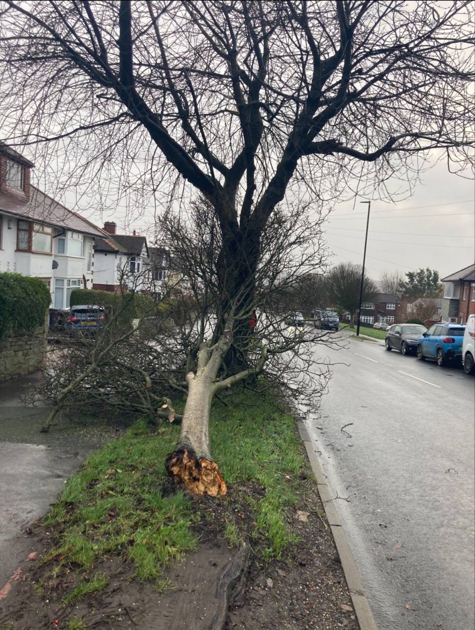 att.E80E s31KBJfrIjHmYvm0hmsgaADiumUjKVlyS2oMDM e1746185744744