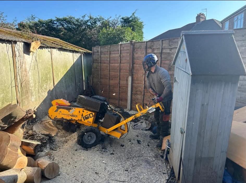Stump Grinder Carwright Tree Care e1782546086319
