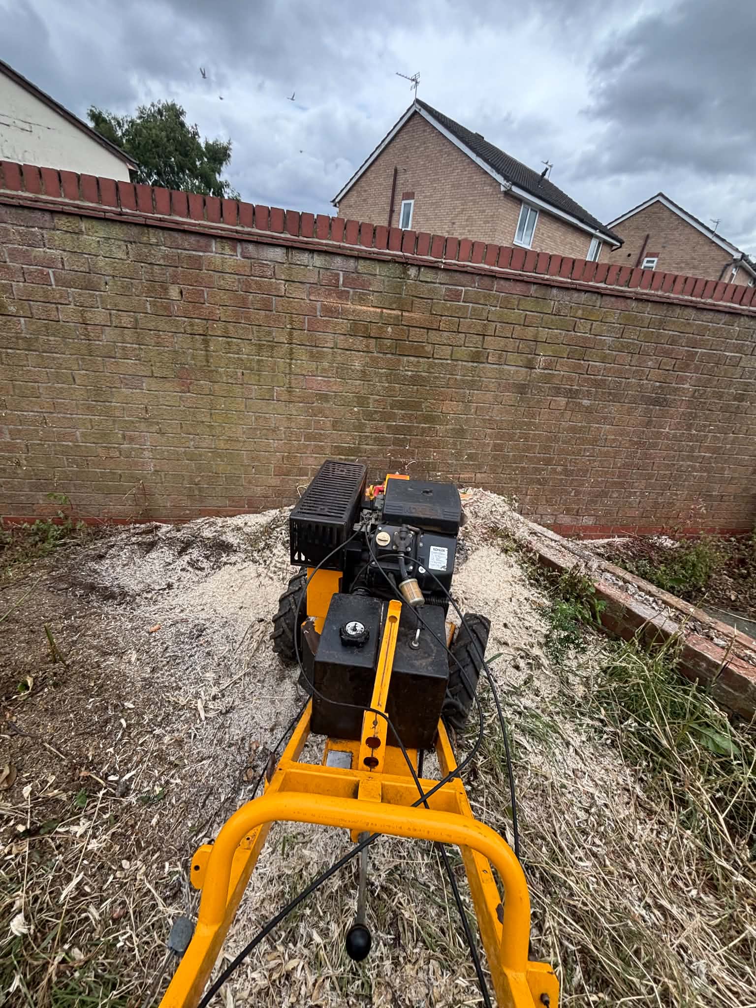 Stump Grinder Services In Manchester