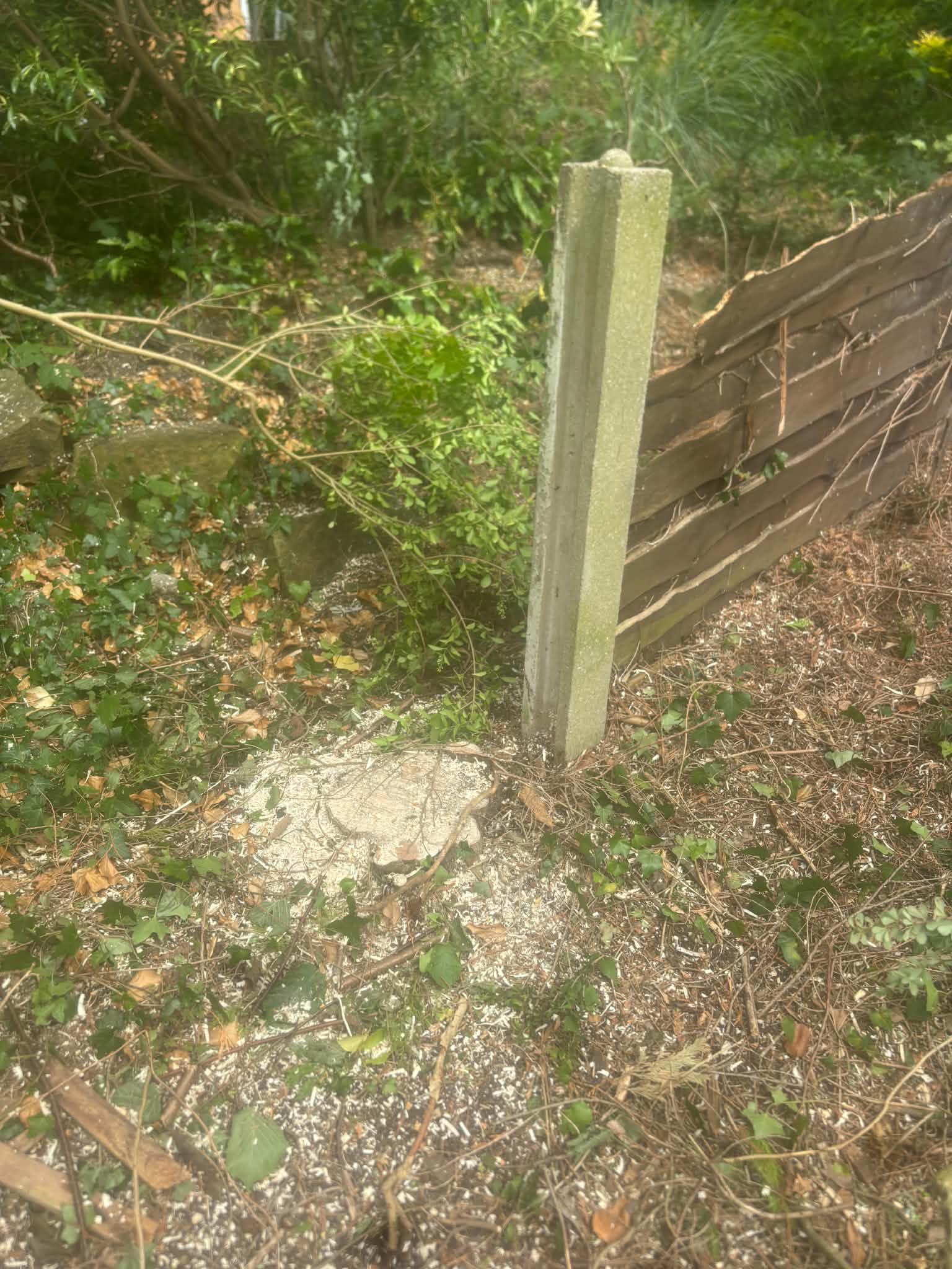 Stump Grinding In Manchester